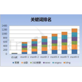 保定如何防止SEO关键词排名下降