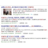 保定朱安安：SEO外链代发行业大揭密
